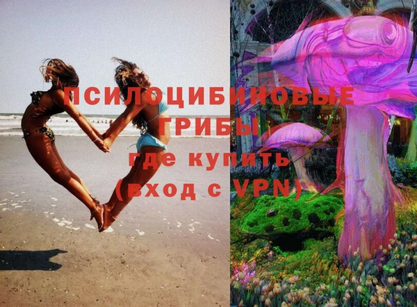 PSILOCYBIN Нефтегорск