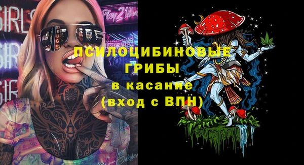 ПСИЛОЦИБИНОВЫЕ ГРИБЫ Нея