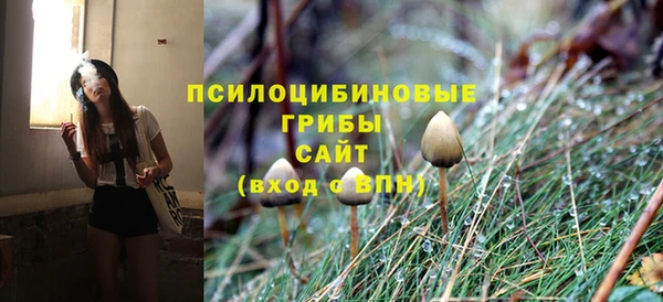 PSILOCYBIN Нефтегорск