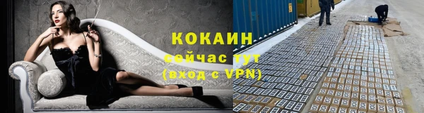 PSILOCYBIN Нефтегорск